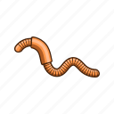 earthworm, animal, worm