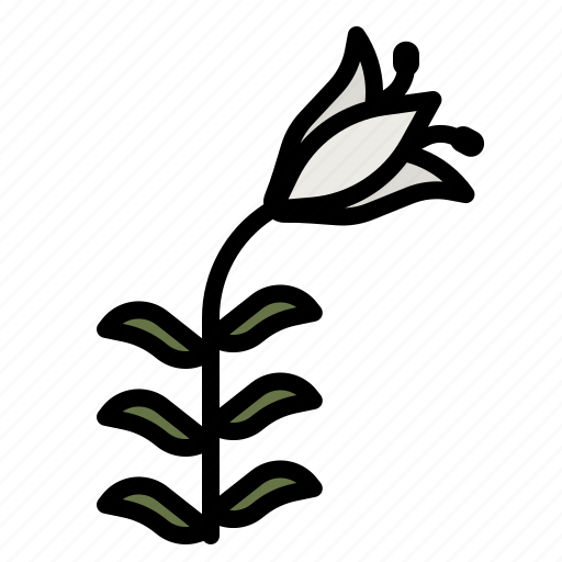 Lily, flower, garden, gardening, nature icon - Download on Iconfinder