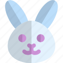 rabbit, holiday, easter, animal