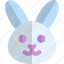 rabbit, holiday, easter, animal 