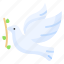 dove, peace, flying, pigeon, faith, christian, bird, leaf 