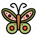 butterfly, insect, fly, spring, animal, wing