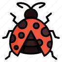 ladybug, ladybird, animal, beetle, antenna, dot, bug, insect