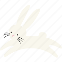 bunny, rabbit, easter, minimal, cute, jumping