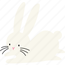 bunny, rabbit, easter, minimal, cute, laying, belly