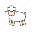 animal, easter, lamb, sheep, wool, zoo 