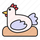 animal, bird, chicken, farm