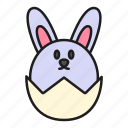 animal, bunny, easter, egg, pet, rabbit, shell