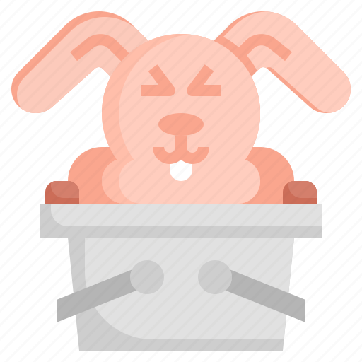 Easter, bunny, rabbit, easte, animal, kingdom, wildlife icon - Download on Iconfinder
