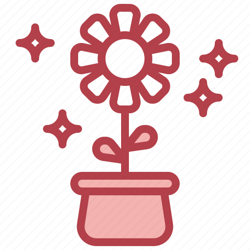 Daisy, flower, plant, bloom, spring icon - Download on Iconfinder