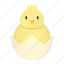 animal, bird, chicken, egg, farm 