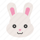 bunny, celebration, easter, holiday, rabbit