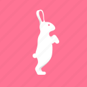 animal, bunny, easter, hare, rabbit