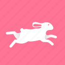 animal, bunny, easter, hare, jump, rabbit