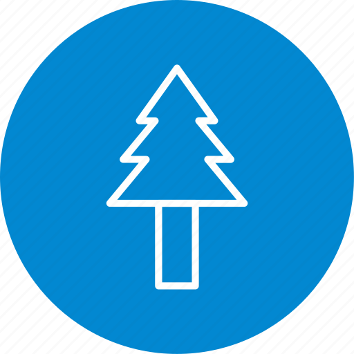 Pine tree, plant, tree icon - Download on Iconfinder