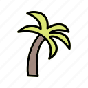 palm, tree, nature