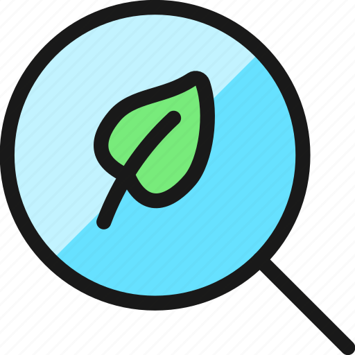 Ecology, leaf, search icon - Download on Iconfinder