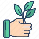hand, plant