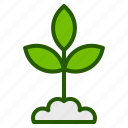 ecology, plant, leaf, nature, sprout, eco, green