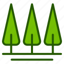 ecology, tree, park, forest, pine, environment, green