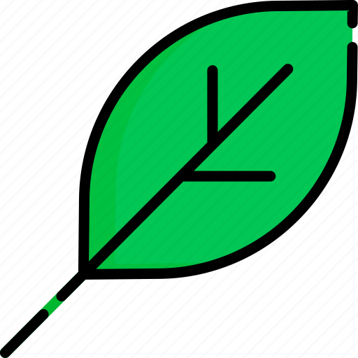 Ecology, liner, color, expand, leaf, plant, eco icon - Download on Iconfinder