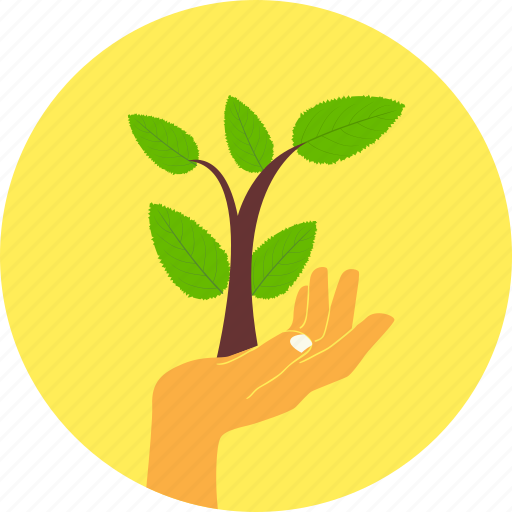 Plant, ecology, environment, green, hand, leaves, nature icon - Download on Iconfinder