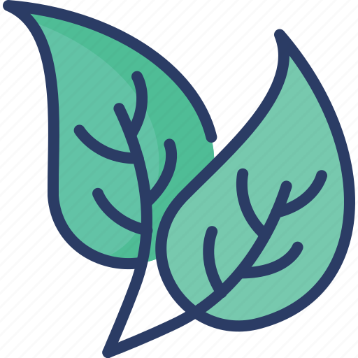 Ecology, environment, leaf, leaves, natural, nature, plant icon - Download on Iconfinder