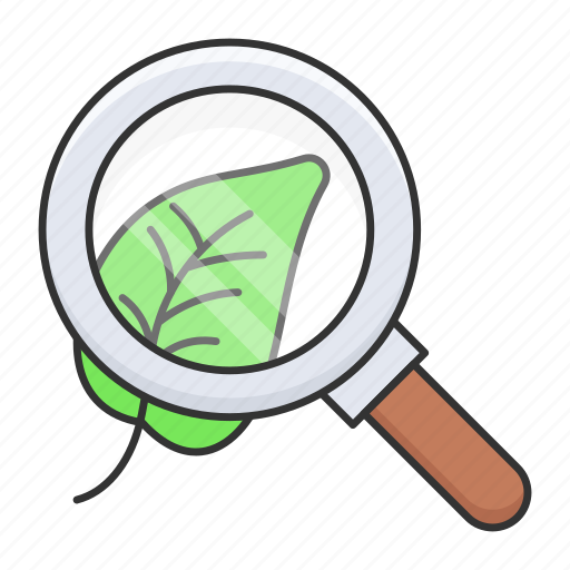 Magnifier, leaves, glass, magnifying, analyzing, plant research icon - Download on Iconfinder