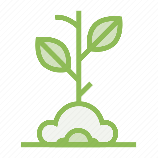 Ecology, ecosystem, environment, environmentalism, plant, seed, tree icon - Download on Iconfinder