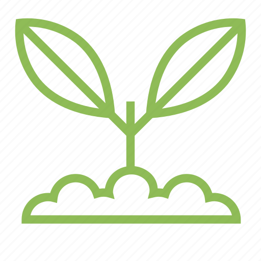 Ecology, ecosystem, environment, environmentalism, plant, seed icon - Download on Iconfinder