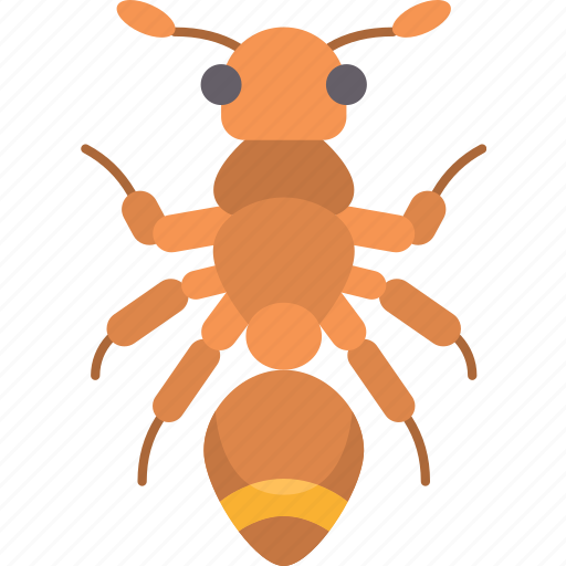 Ant, mimicry, spiders, disguise, insects icon - Download on Iconfinder
