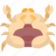 pea, crab, parasite, shell, sea 