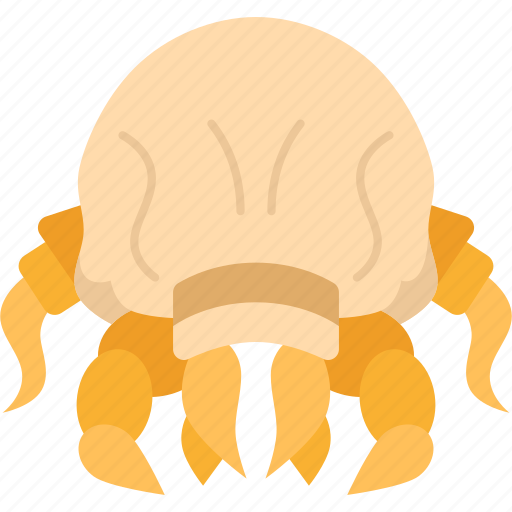 Scabies, mite, infestation, itchy, contagion icon - Download on Iconfinder
