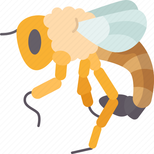 Botfly, flies, parasites, pest, insect icon - Download on Iconfinder