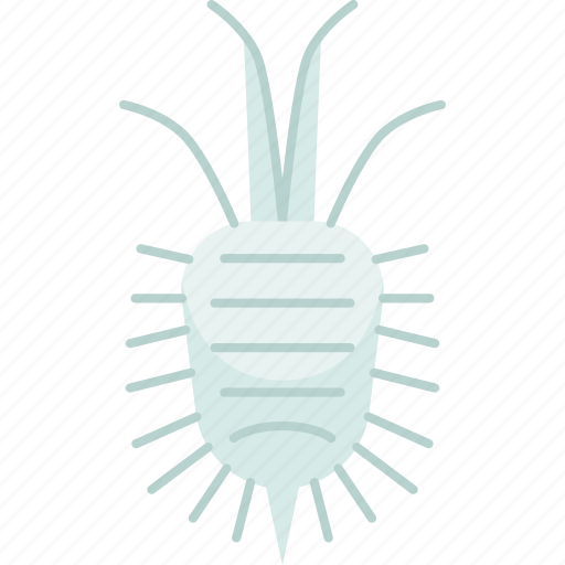 Mealybug, insect, pest, parasite, plant icon - Download on Iconfinder