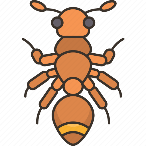 Ant, mimicry, spiders, disguise, insects icon - Download on Iconfinder