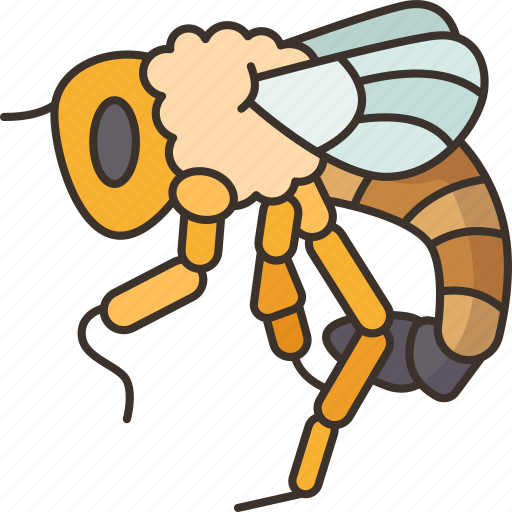 Botfly, flies, parasites, pest, insect icon - Download on Iconfinder