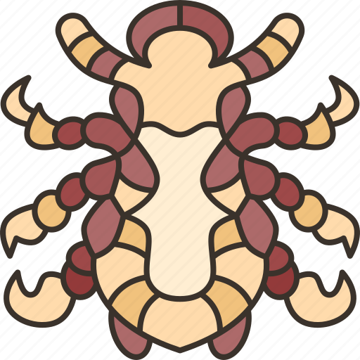 Louse, crab, ectoparasite, pubic, unhygienic icon - Download on Iconfinder