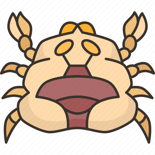 Pea, crab, parasite, shell, sea icon - Download on Iconfinder