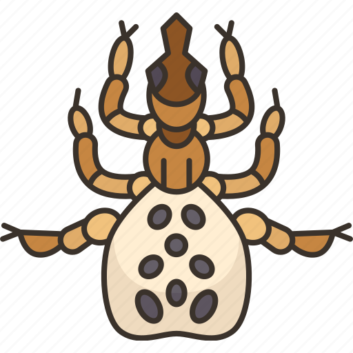 Sheep, keds, tick, biting, parasites icon - Download on Iconfinder