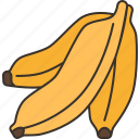 banana, fruit, food, diet, sweet
