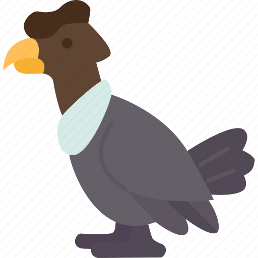 Andean, condor, vulture, bird, animal icon - Download on Iconfinder