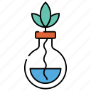 botany experiment, lab experiment, plant flask, plant growth, biochemistry