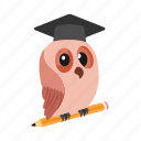 degree, owl, hat, education, pencil