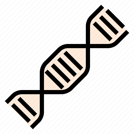 Biology, dna, genes, genetics, inheritance, nature icon - Download on Iconfinder