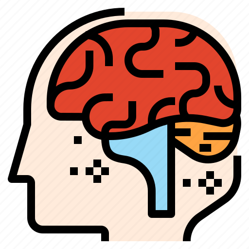Brain, education, learning, neurology, neurotransmitter, think icon - Download on Iconfinder