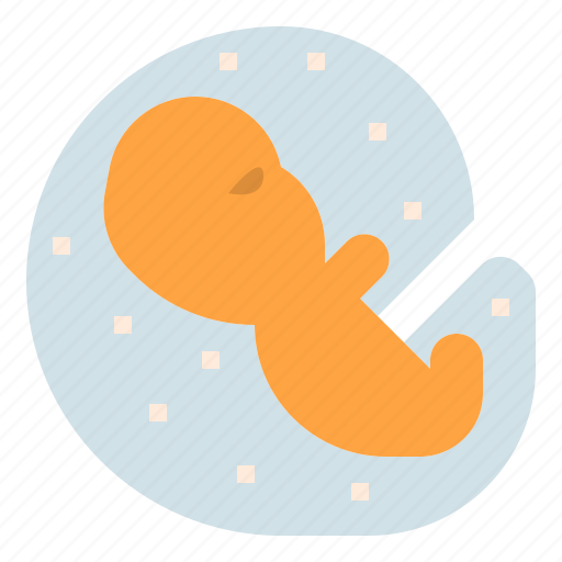 Development, embryo, embryology, fetus, growth, live, pregnancy icon - Download on Iconfinder