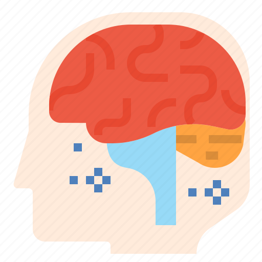 Brain, education, learning, neurology, neurotransmitter, think icon - Download on Iconfinder
