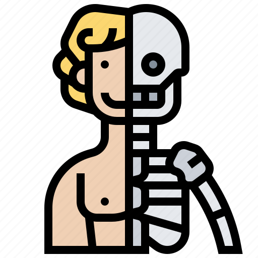 Anatomy, body, human, physiology, skeleton icon - Download on Iconfinder