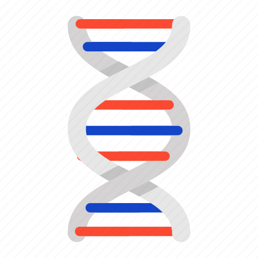 Deoxyribonucleic acid, dna, dna helix, dna strand, genetics icon - Download on Iconfinder